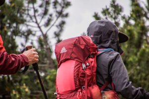 Gregory Backpack
