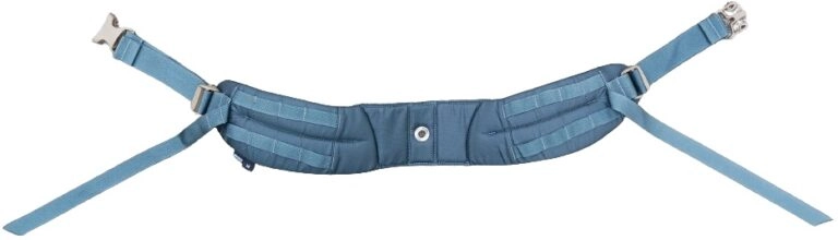 Beginner's Guide to Backpacks for Backpacking Backpack hip belt